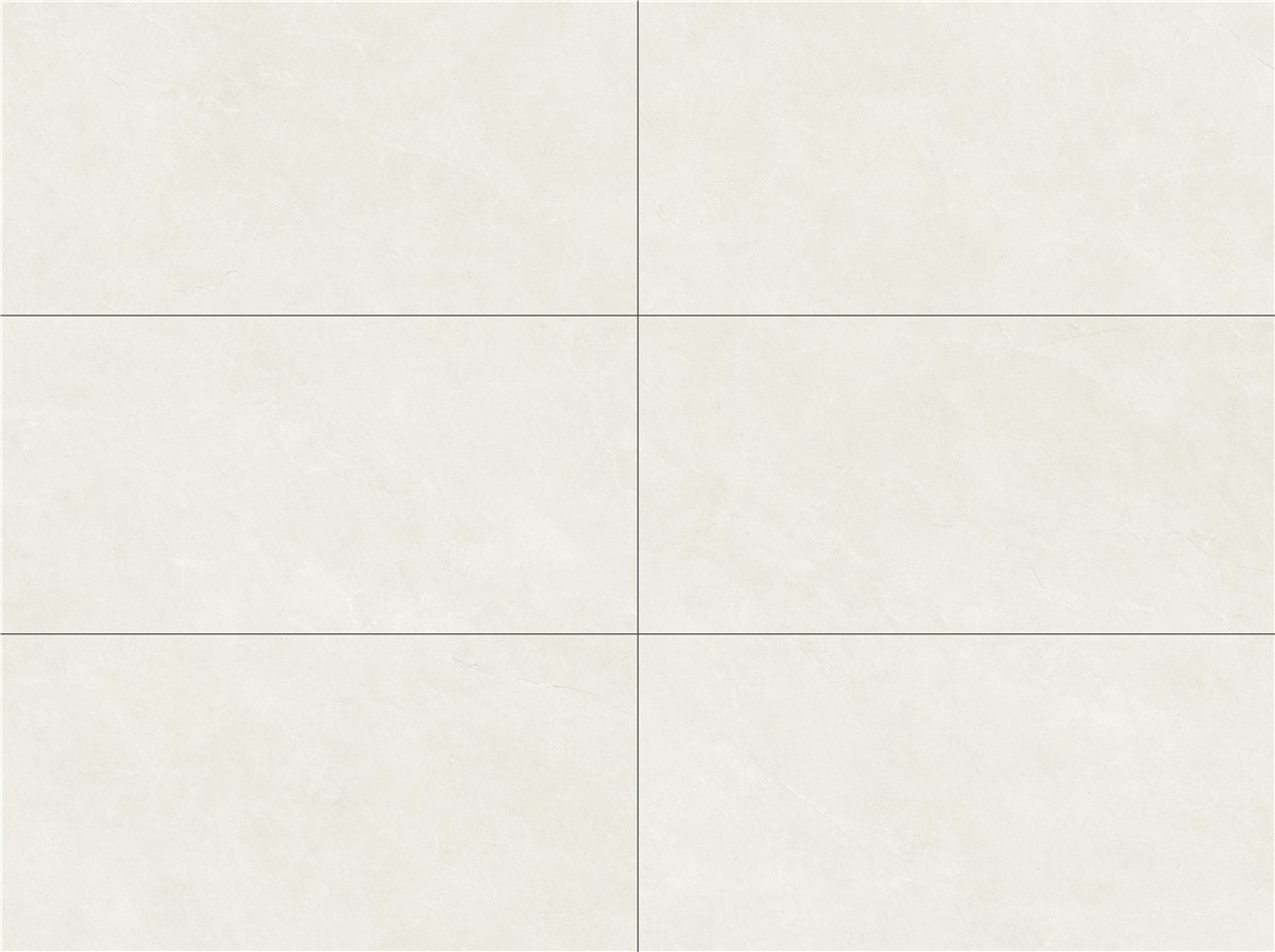 CS48101H